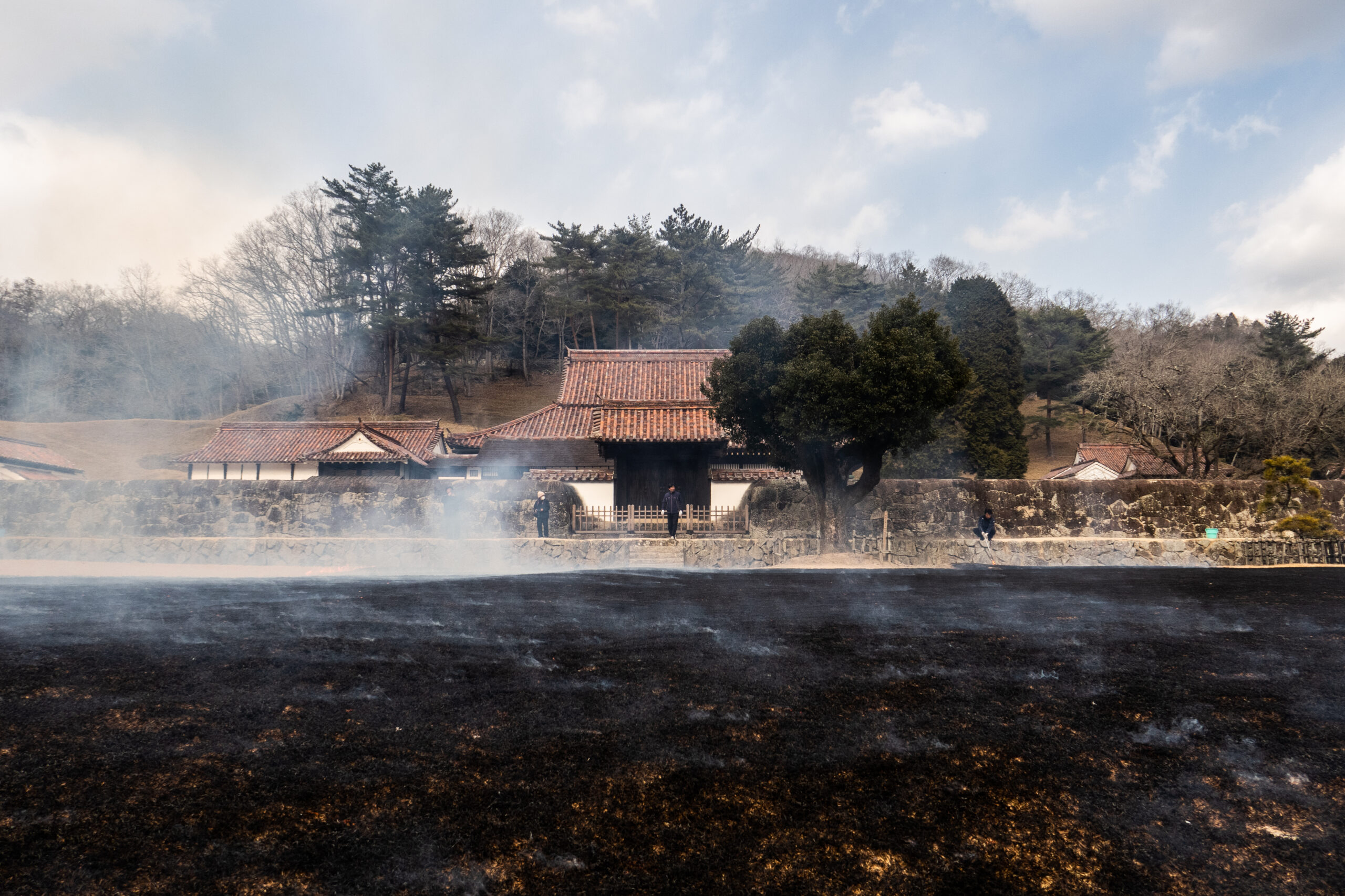 芝焼きを行います